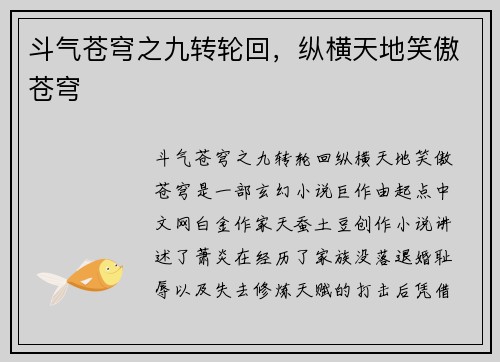 斗气苍穹之九转轮回，纵横天地笑傲苍穹
